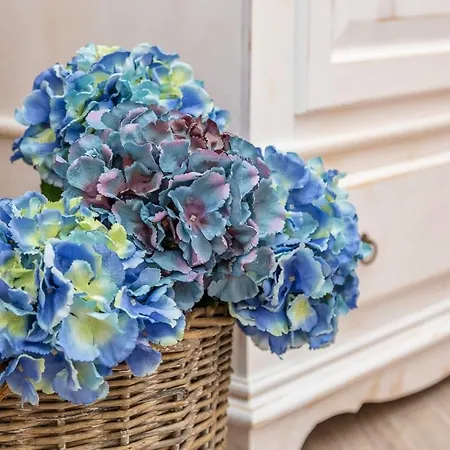 B&B da Chiara-2